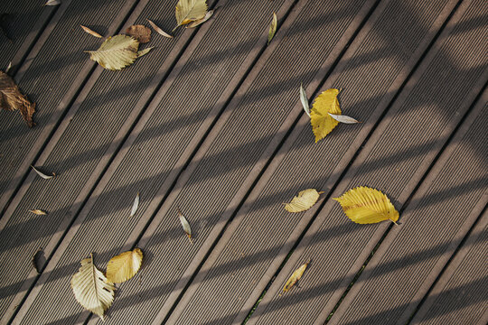 Scattered autumn leaves in muted yellow and brown tones resting across weathered dark wooden decking with diagonal boards and textured outdoor surface, seasonal natural background