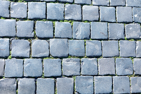 Close-up of grey stone cobblestone pavement with small green plants growing between the sets in Rome, Italy
