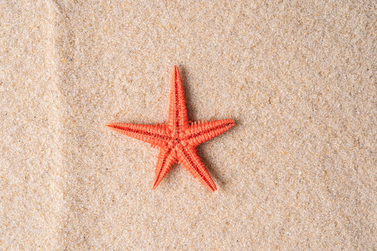 Red starfish on sandy beach with zen meditation concept