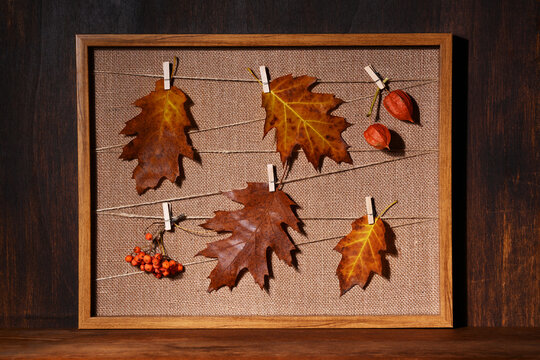 Frame with autumnal leaves and berries