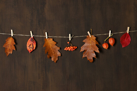 Rope with autumnal leaves and berries