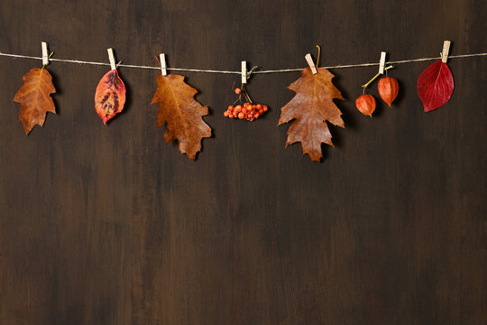 Rope with autumnal leaves and berries