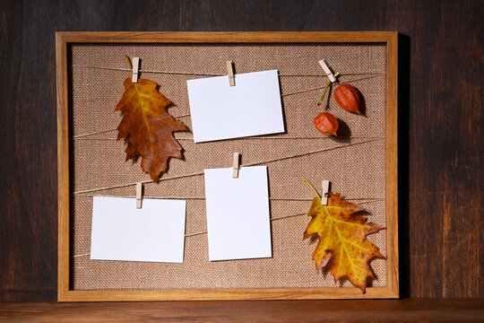 Arrangement of picture frame with white blanks and autumnal leaves