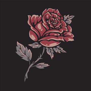 Red rose blooms with soft layered petals