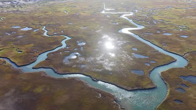Morning sunlight shines on an extensive salt marsh in Orleans, Cape Cod, MA. Salt marshes are an incredibly important coastal habitat used by many species of fish, birds, and shellfish.