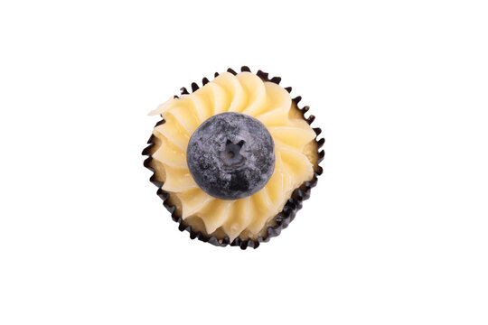 Top View of Blueberry Cupcake with Vanilla Buttercream Isolated on Transparent Background