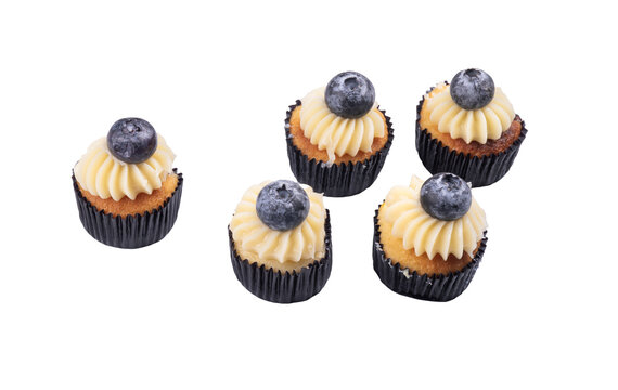 High Angle View of Blueberry Cupcakes with Vanilla Buttercream Isolated on Transparent Background