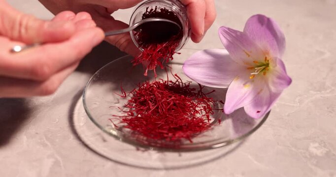 Woman putting saffron onto plate at light grey table near crocus flower, closeup