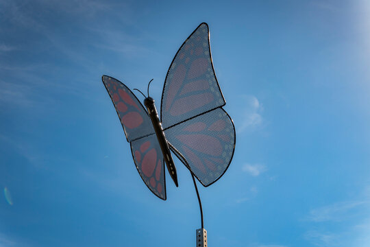 Large metallic butterfly outdoor sculpture framed against a bright blue sky background