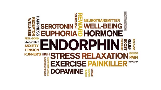 Endorphin animated word cloud-text design animation tag kinetic typography seamless loop.