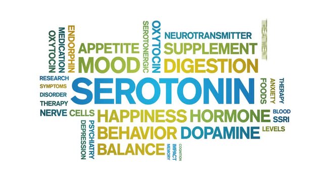 Serotonin animated word cloud-text design animation tag kinetic typography seamless loop.