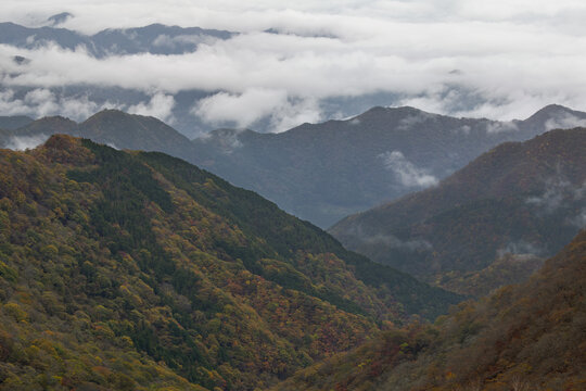 雲海と紅葉する山