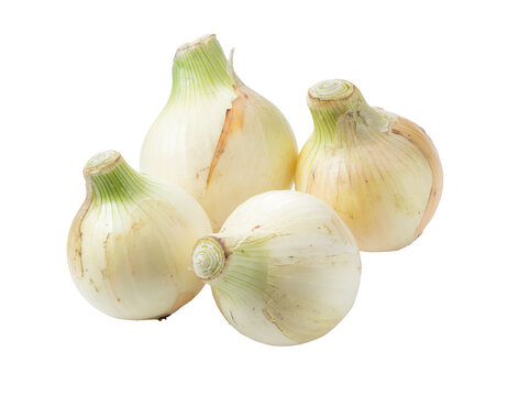 Fresh peeled sweet onions isolated on transparent background