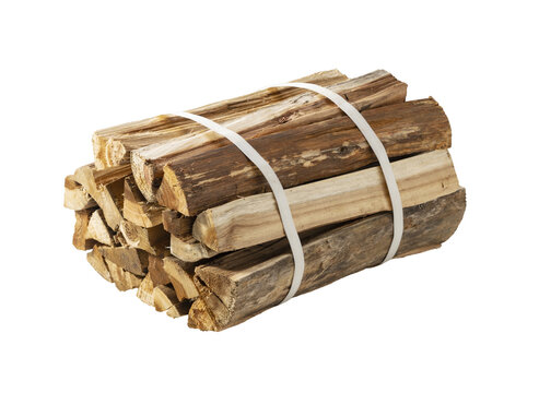 Bundle of firewood logs bound with strap isolated on transparent background