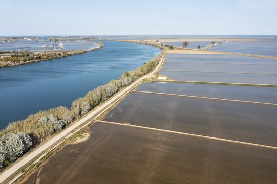Ebro river and flooded rice fields in May, aerial view, drone shot, Ebro Delta Nature Reserve, Tarragona province, Catalonia, Spain