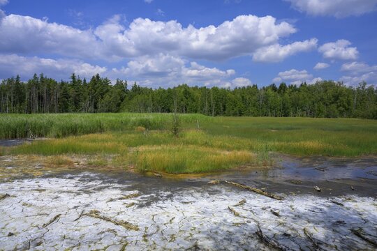 Soos Mineral Moor, Skaln&aacute;, Karlovarsk&yacute; kraj, Czech Republic