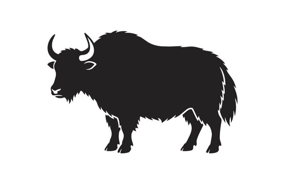 Silhouette of a majestic yak standing on a white background.