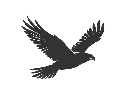 Silhouette of a Majestic Eagle in Mid-Flight.