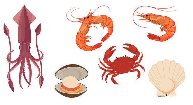 Seafood Shellfish Crustaceans 4.