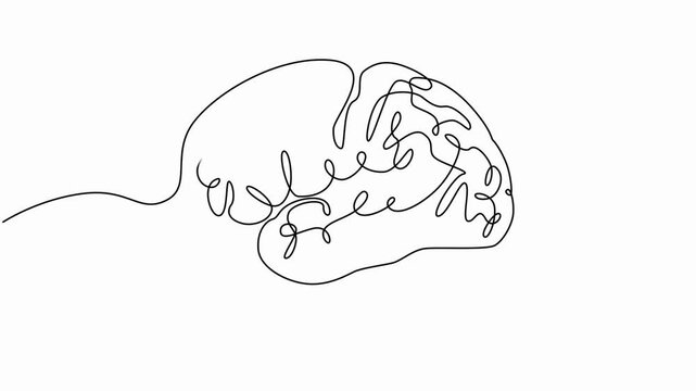 brain for bussiness animation continuous one line drawing, human brain, full length one line animation, motion graphics continuous one line drawing on white background.