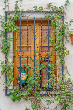 Wooden Window Behind Wrought Iron Grille with Climbing Vines and Garden Gnome