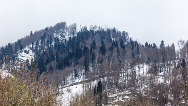 Snow blankets forested hills under overcast sky