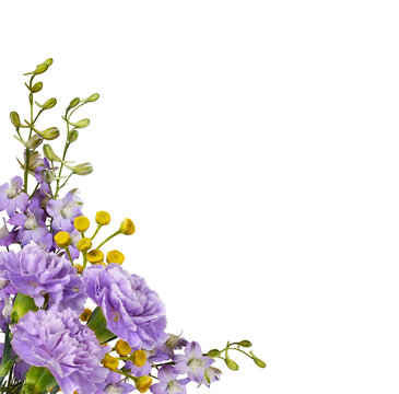 Purple carnation flowers, delphinium and yellow tansy in a corner arrangement isolated onwhite or transparent background