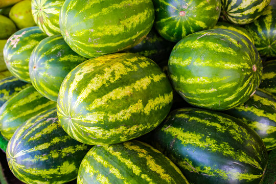 watermelons on the market