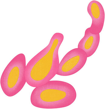pink budding yeast