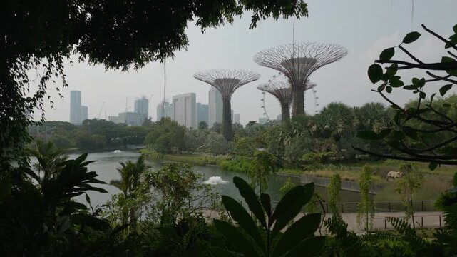 Supertrees at Gardens by the Bay and Marina Bay Sands, Singapore