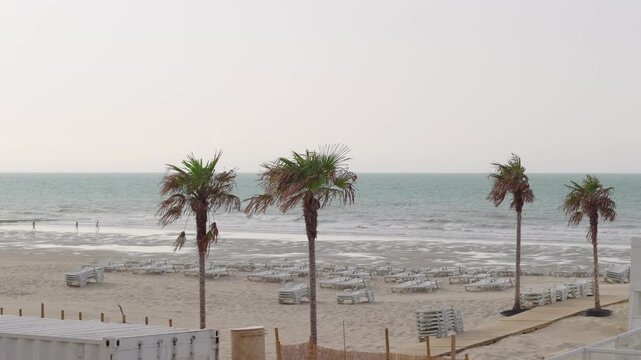 Unrecognizable people running across a sandy beach toward the sea slow motion with palm trees in the foreground