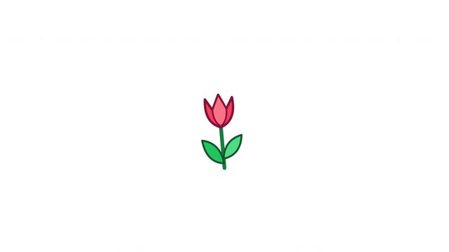 Pink tulip flowers pattern animation on white background