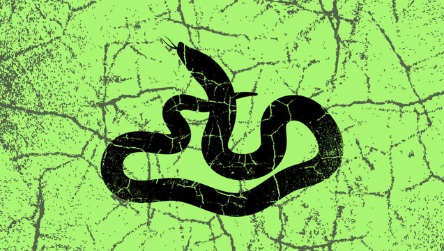 Black Cameroonian Snake, color vector illustration