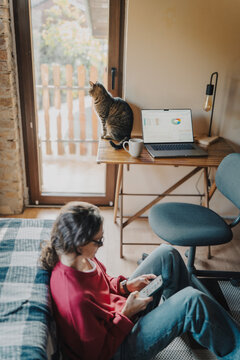 Cat sitting on desk with laptop looking out window while woman relaxes with phone