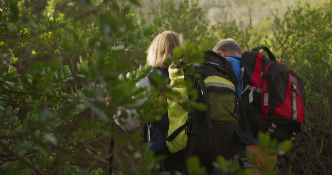 Rear view of senior caucasian couple hiking in forest with backpacks and walking poles, copy space