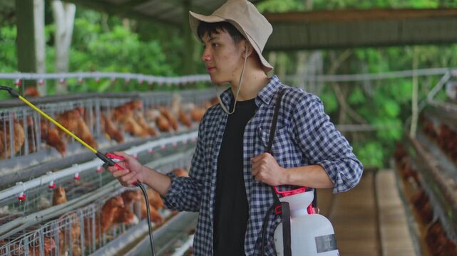 Young poultry farmer using manual pressure sprayer to apply disinfectant along battery cages