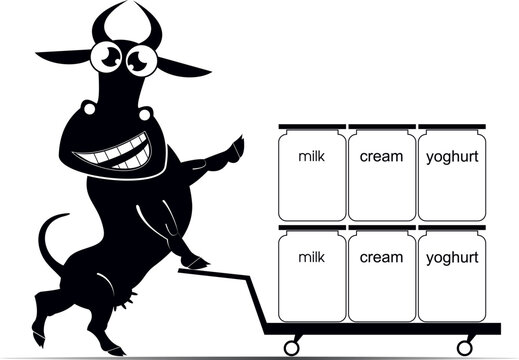 Funny cow conveys a trolley with dairy products