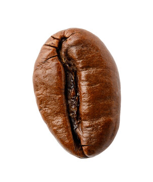 Roasted coffee bean macro isolated on a transparent background
