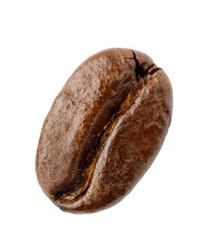 Roasted coffee bean isolated on a transparent background