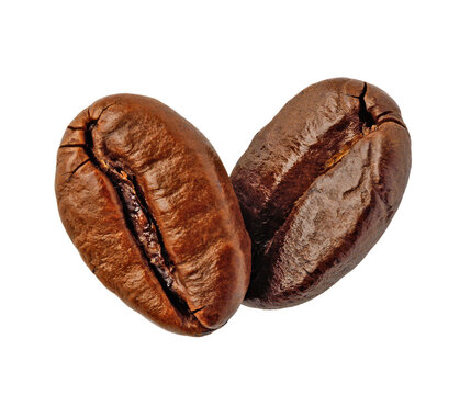 Two roasted coffee beans isolated on a transparent background
