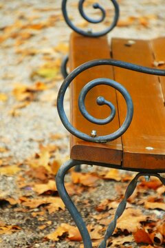 Wooden bench in the park and fallen autumn leaves on the ground, autumn colorful scene