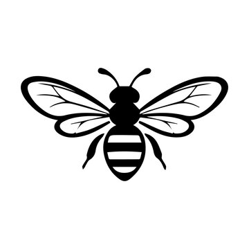 bee vector illustration