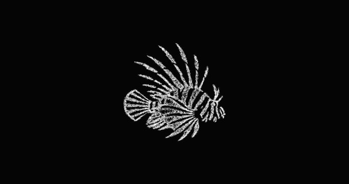 Sketch lionfish logo animation - smooth progressive reveal