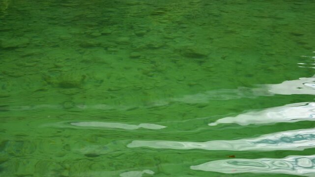 Lake water surface. Ripple water of river. Aquatic nature. Motion background of clear lake water. Rippled surface. River 4k footage