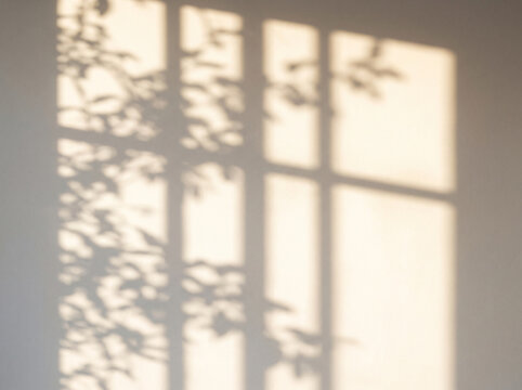 Window shadow with leafy plant silhouette on wall in warm sunlight