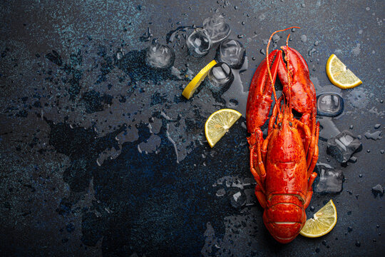 Boiled whole red lobster with lemon wedges and ice cubes