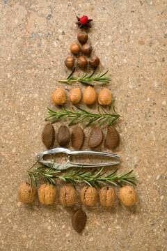 Christmas tree made from nuts and rosemary sprigs with nutcracker