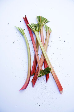 Rhubarb stems on white background