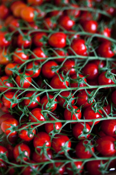 Fresh cocktail tomatoes on vine close-up