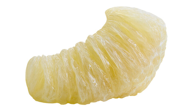 Peeled fresh pomelo fruit segment with translucent yellow pulp vesicles